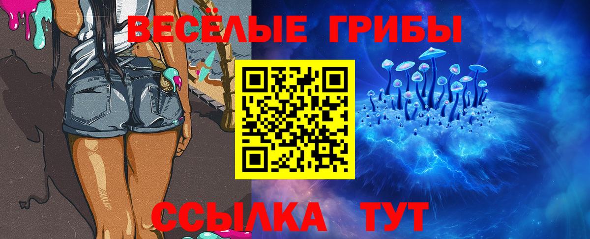 Псилоцибиновые грибы Psilocybe Углич